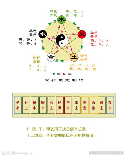 十天干十二地支|天干地支五行对照表